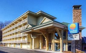 Comfort Inn & Suites at Dollywood Lane Pigeon Forge Tn